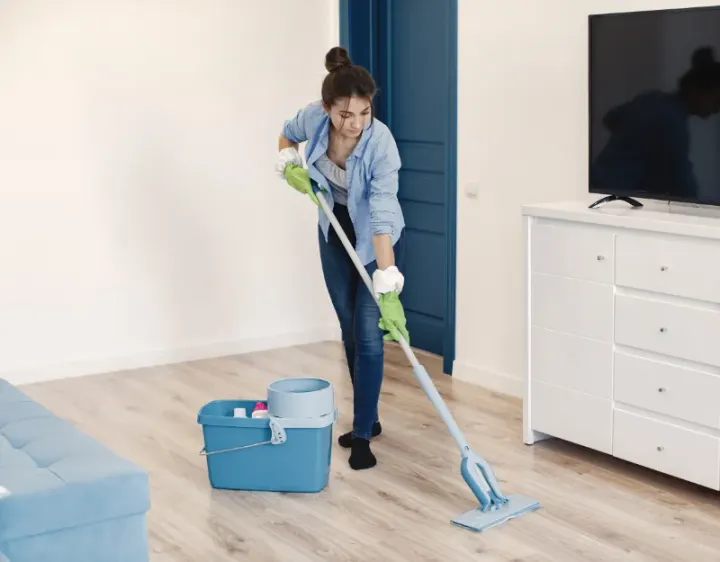Femme de ménage Stains